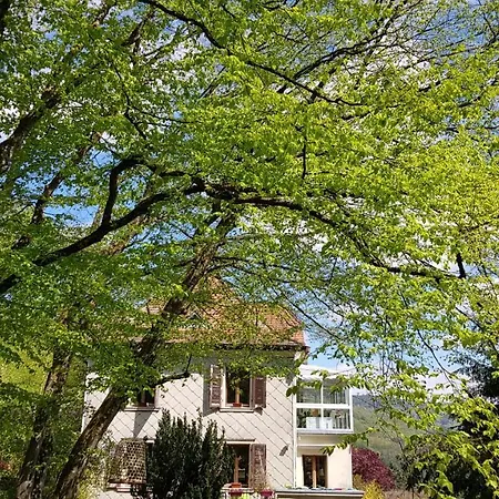 Chez Robin Guest house